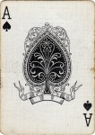 Cons.-Dougherty - As - Exemple tiré du jeu no. 000355