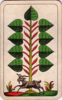 deck-000018-laub9