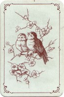 deck-000021-back1