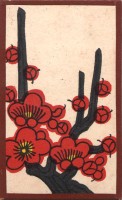 deck-000151-ume2