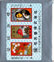 deck-000155-wrapside1
