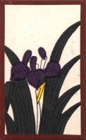 deck-000158-ayame1