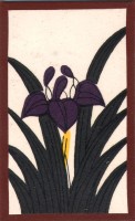 deck-000158-ayame2
