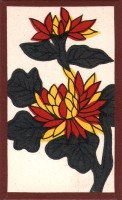 deck-000158-kiku1