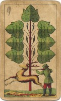 deck-000184-laub7