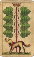 deck-000184-laub8