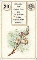 deck-000194-no30