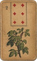 deck-000205-2