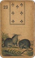 deck-000205-23