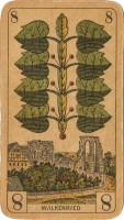 deck-000224-laub8