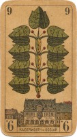 deck-000224-laub9