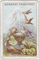 deck-000231-back1