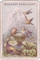 deck-000231-back2