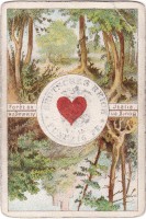 deck-000231-herzA