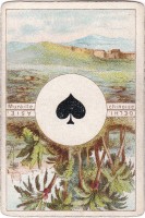 deck-000231-pikA