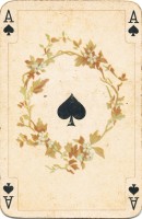 deck-000239-pikA