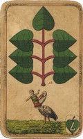 deck-000249-laub7