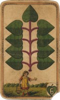 deck-000249-laub9