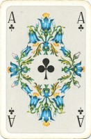 deck-000260-kreuA