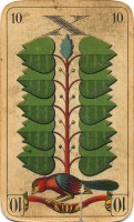 deck-000275-laub10