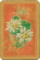 deck-000290-back1