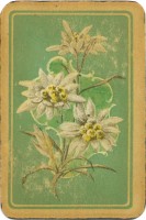 deck-000290-back2
