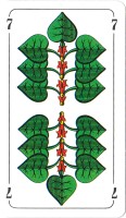 deck-000340-laub7