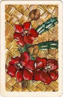 deck-000349-back