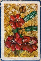 deck-000349-boxback