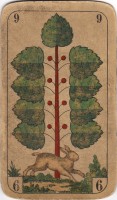 deck-000354-laub9