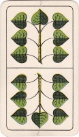deck-000410-laub7