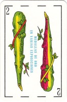 deck-000424-bast2