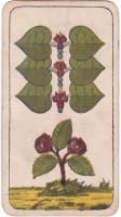deck-000438-laub6