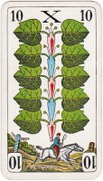 deck-000480-laub10