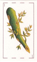 deck-000483-bastA