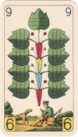 deck-000450-laub9