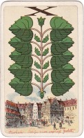 deck-000451-laub10