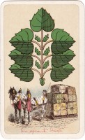deck-000451-laub7
