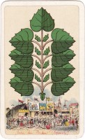 deck-000451-laub9